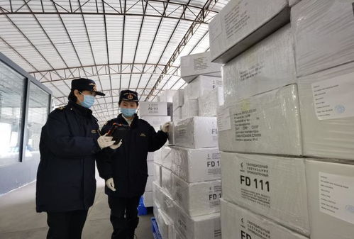 广州海关春节期间监管跨境电商进出口商品总值达20.7亿元，绘就年货跨境新图景